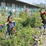 La ferme urbaine à la gare Saint-Sauveur