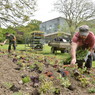 Plantation au jardin des plantes