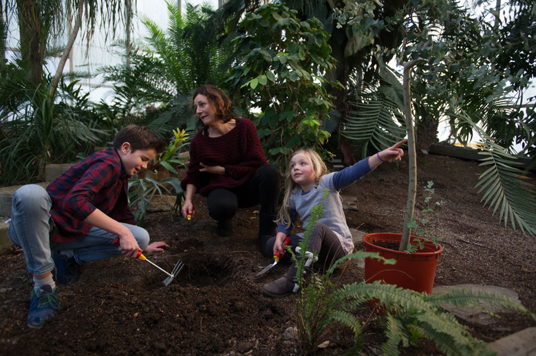 L'hiver au jardin des plantes / Ãvénements ville de lille ... Jardin Serre Créatif
