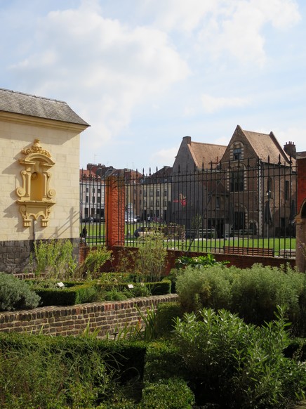 Secrets de jardin médicinal