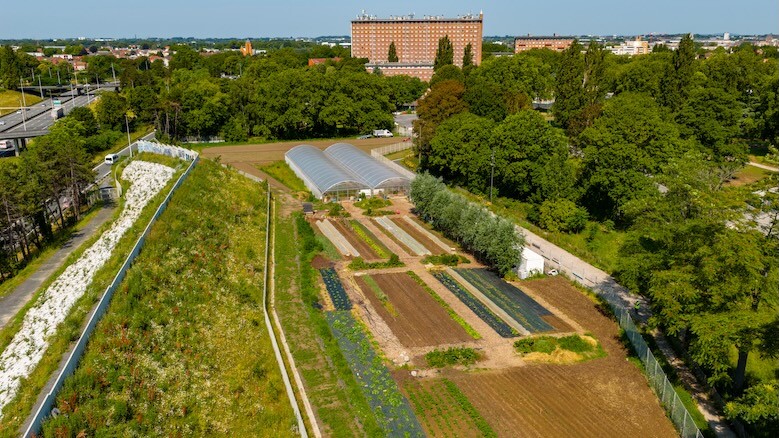 La ferme urbaine voit plus grand