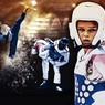 Championnat de France poumise et critériums nationaux de Taekwondo