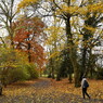 nature-citadelle