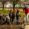 Plantation d'arbres