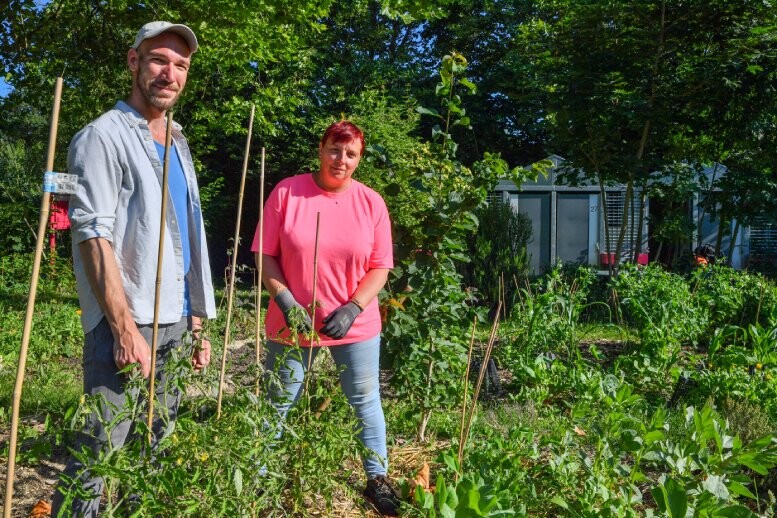 Eté au jardin : se faciliter le travail en 20 conseils