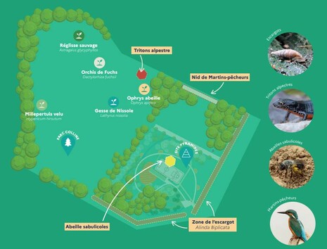 pyramides_biodiversite