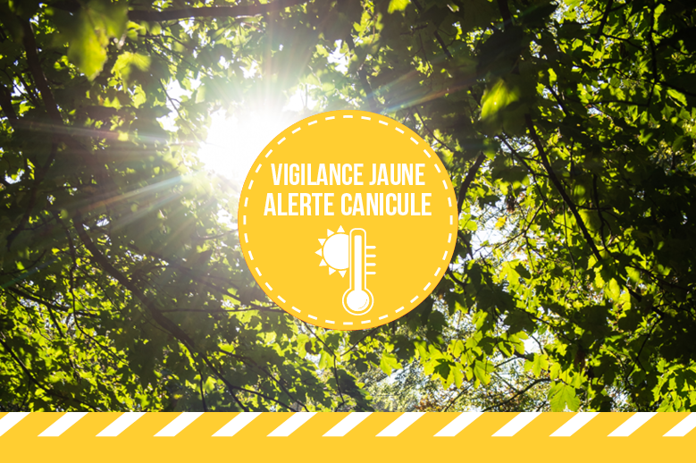 Alerte jaune canicule