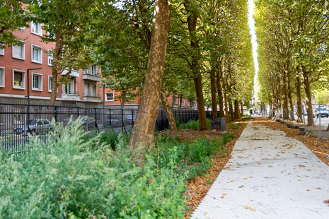 Place du Maréchal Leclerc, travaux (août 2025)
