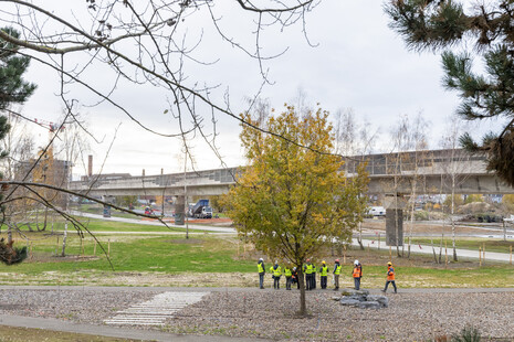 Chantier du parc de la Vallée, Saint-Sauveur, décembre 2025