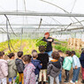 48h de l'agriculture urbaine : visite de l'école Béranger à la ferme urbaine Concorde