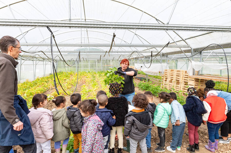 48h de l'agriculture urbaine : visite de l'école Béranger à la ferme urbaine Concorde