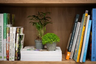 lecture et bouture 3