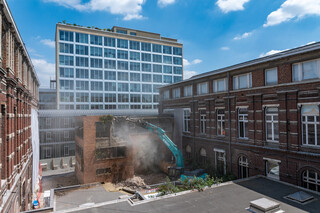 Musée d'Histoire Naturelle : travaux en cours