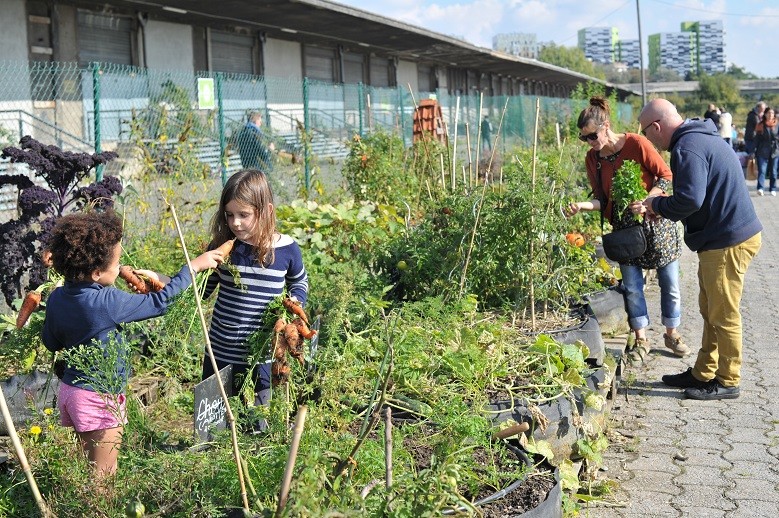 Ferme urbaine, Saint Sauveur