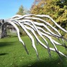L'installation Mémoire d'Arbre prendra ses quartiers à Saint-Maurice Pellevoisin.