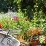 jardin-lille-sud