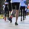 Course Citadelle