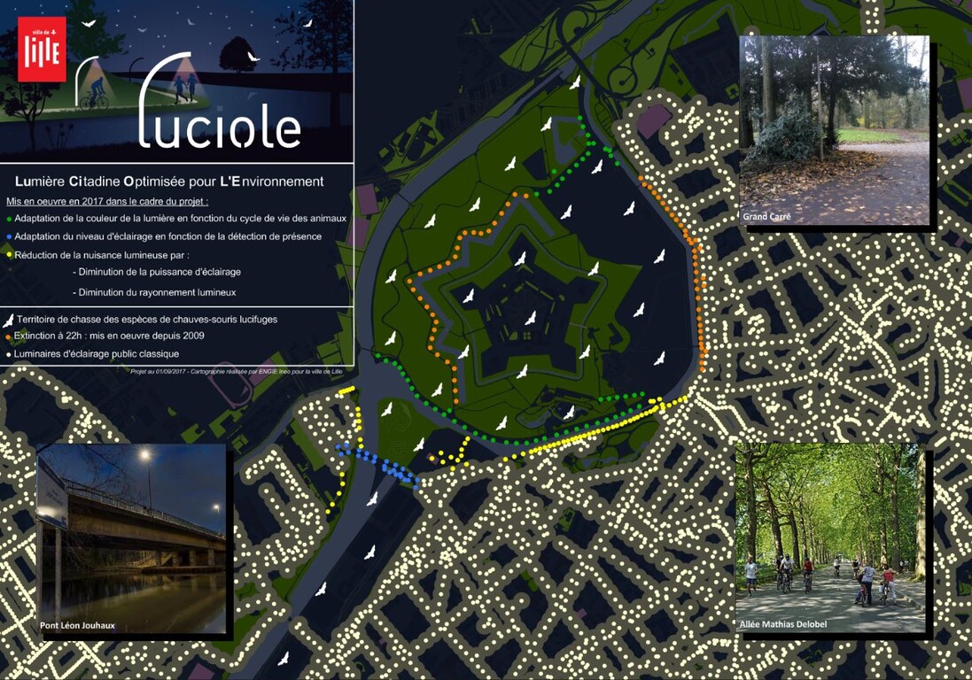 Luciole carte