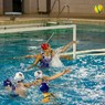 LUC Métropole Water-Polo vs Bordeaux - photo Eric Morelle