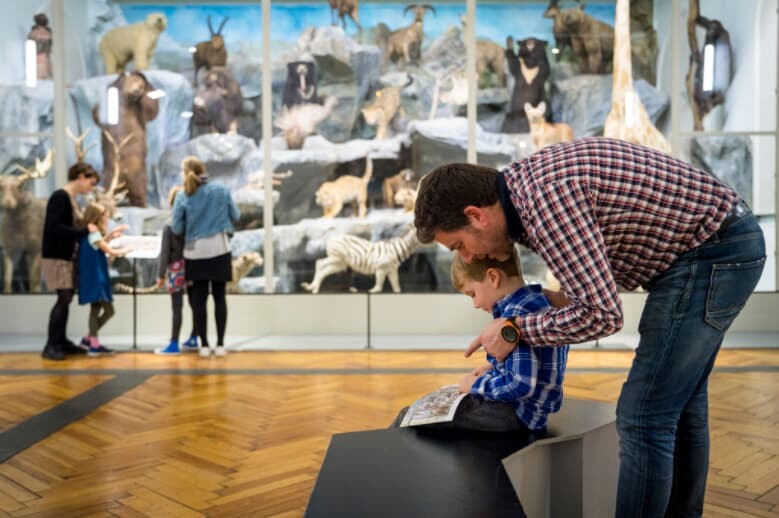 Une famille visite le musée d'histoire naturelle