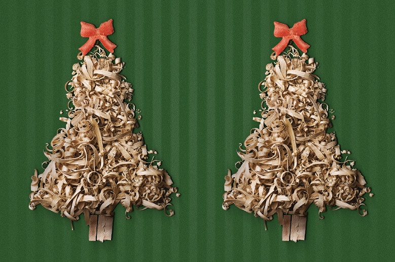 Collecte sapins