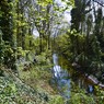Le jardin écologique du Vieux-Lille. Photo A.G.