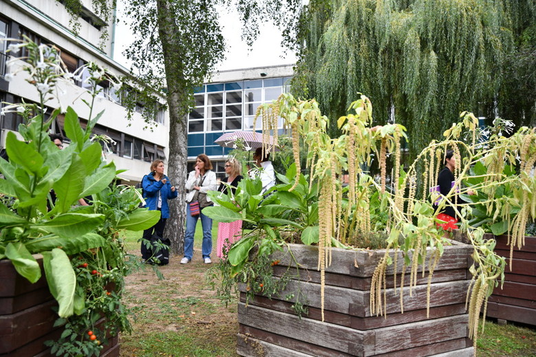 permis de vegetaliser