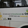 Gecco