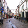 Projet de végétalisation rue Basse