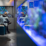 Bleu !, panorama d'une couleur fascinante. © Anaïs Gadeau, Ville de Lille