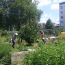 Jardin des cultures