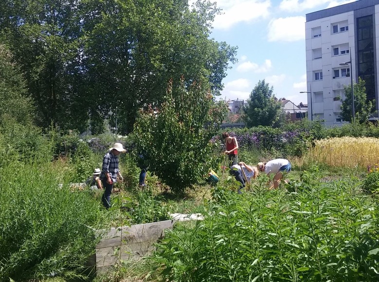 Jardin des cultures