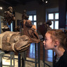Enfant observant une tête sculptée de serpent