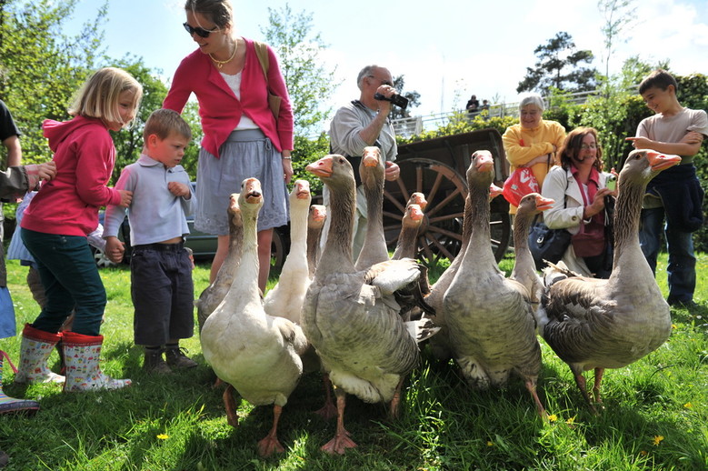 Ferme Pédagogique Marcel Dhénin