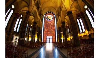 A la découverte de la Cathédrale de Lille pour Noël - 2025