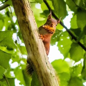 A la rencontre de la biodiversité