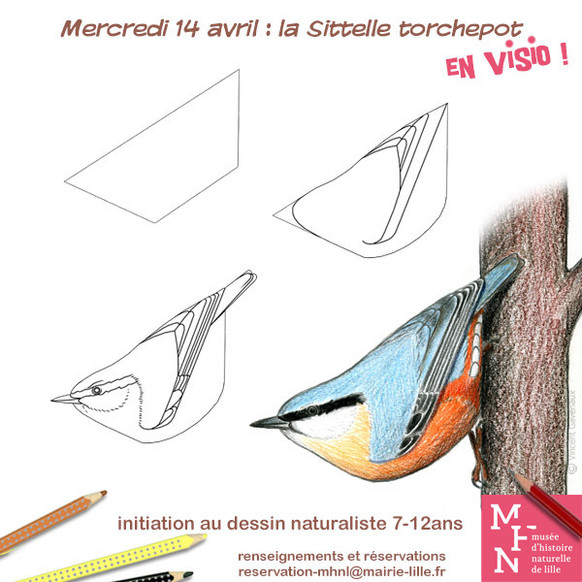 La Sittelle Torchepot !