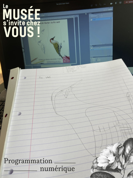 Atelier Dessin / en visio !