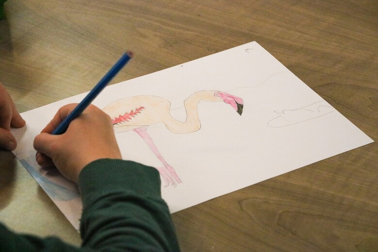 Atelier Dessin / Le MHN fait le Mur !