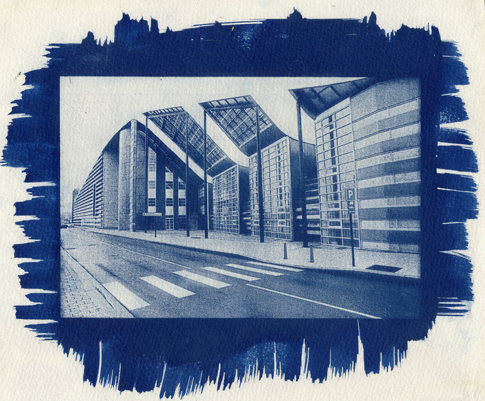 Atelier Faire en famille : Impression cyanotype