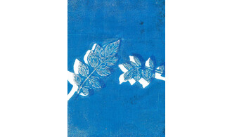 Atelier famille Cyanotype
