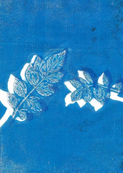 Atelier famille Cyanotype