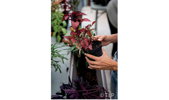Atelier jardinier
