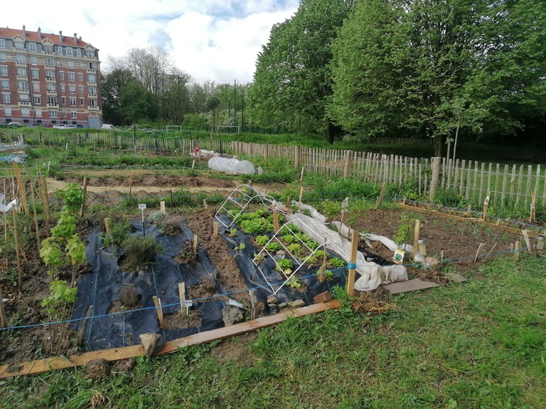 Ateliers jardinages