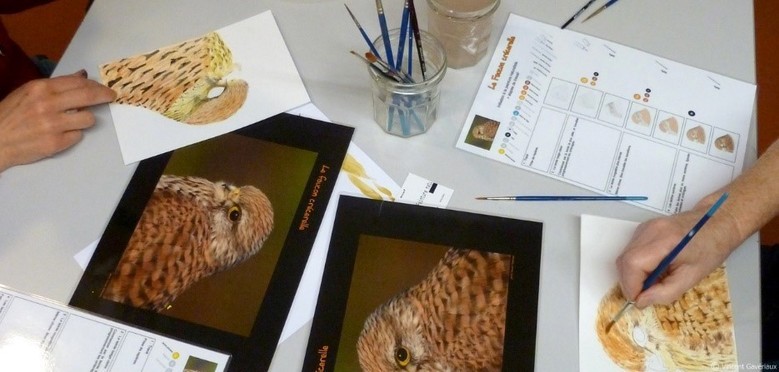 Ateliers Peinture / Pour les Ados et les Adultes