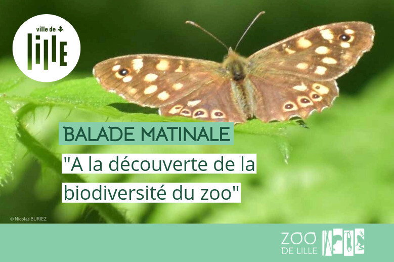 Balade matinale "A la découverte de la biodiversité du zoo"