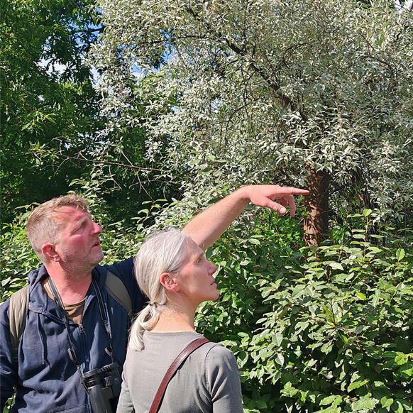 Balade Nature - Notre région en automne / Saint-Maurice Pellevoisin