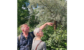 Balade Nature - Notre région en hiver / Citadelle