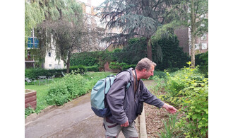 Balade nature / votre quartier en été