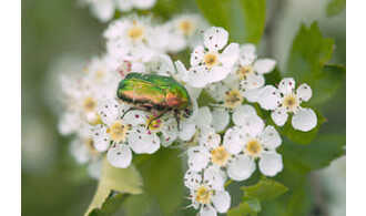 Balade vélo à la découverte de la biodiversité